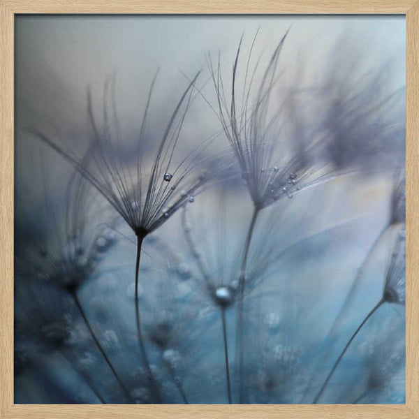 Tablou înramat „Teardrops” de Mathieu Irthum