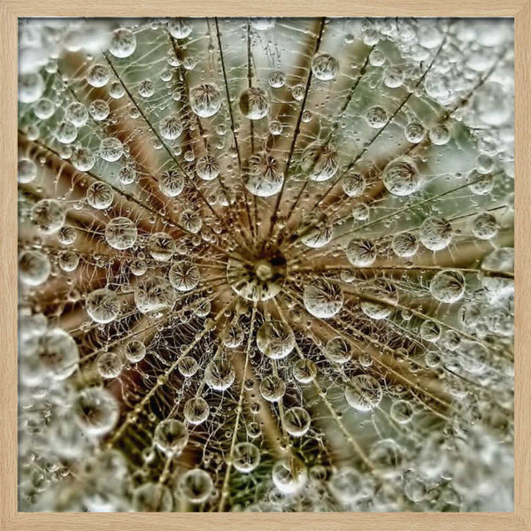 Tablou înramat „Dreаm” de Tanya Markova