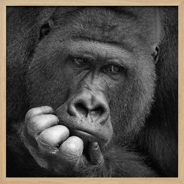 Tablou înramat „I had a Dream” de Antje Wenner-Braun