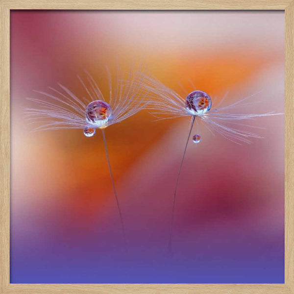 Tablou înramat „Two Worlds” de Juliana Nan