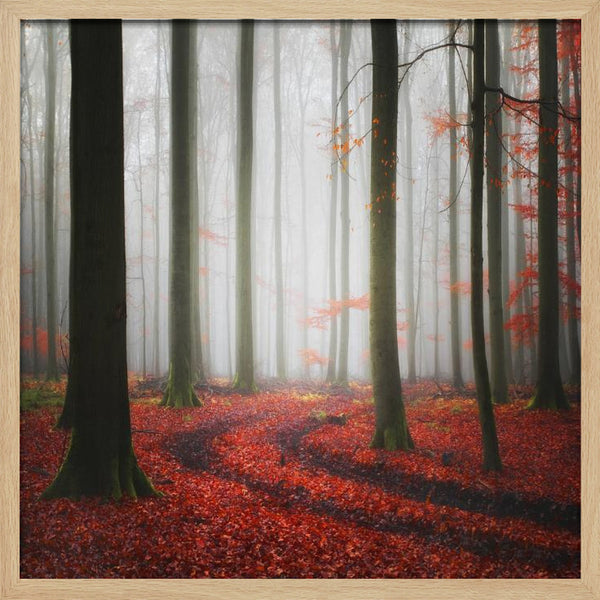 Tablou înramat „Autumnal Tracks” de Carsten Meyerdierks