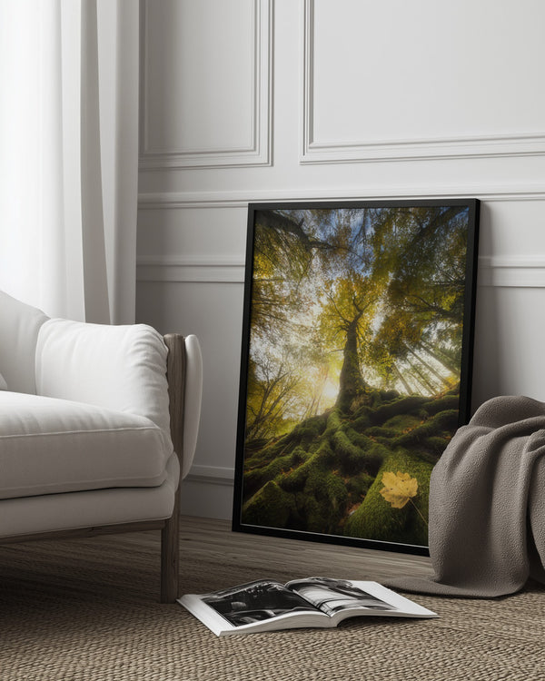 Tablou înramat „The goodbye of a leaf” de Alberto Ghizzi Panizza