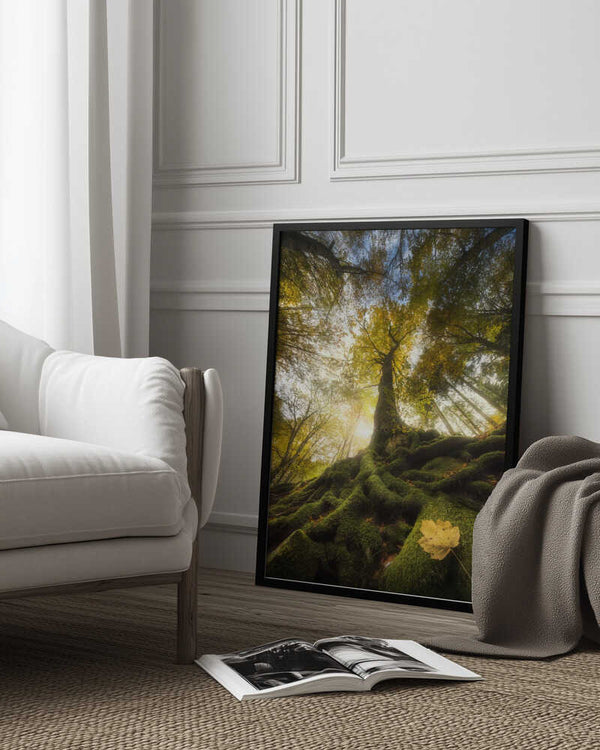 Tablou înramat „The goodbye of a leaf” de Alberto Ghizzi Panizza