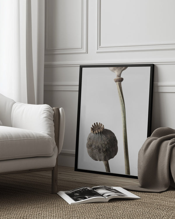 Tablou înramat „Dried_005” de Pictufy Studio III