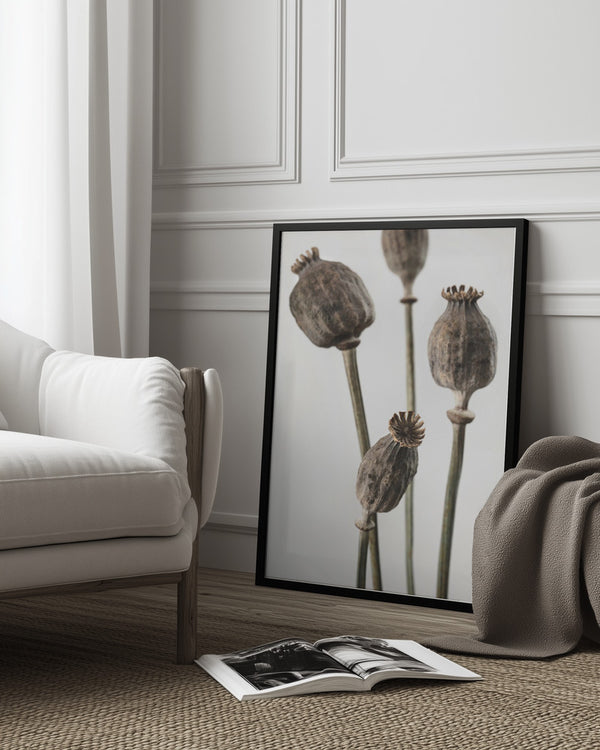 Tablou înramat „Dried_006” de Pictufy Studio III