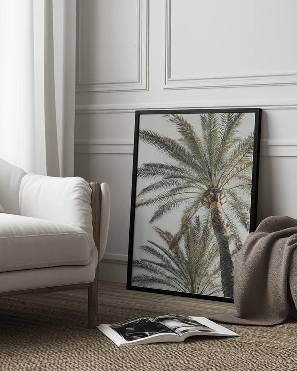 Tablou înramat „Palm_005” de Pictufy Studio III