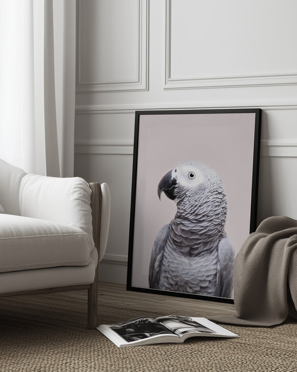 Tablou înramat „African Grey” de Kathrin Pienaar