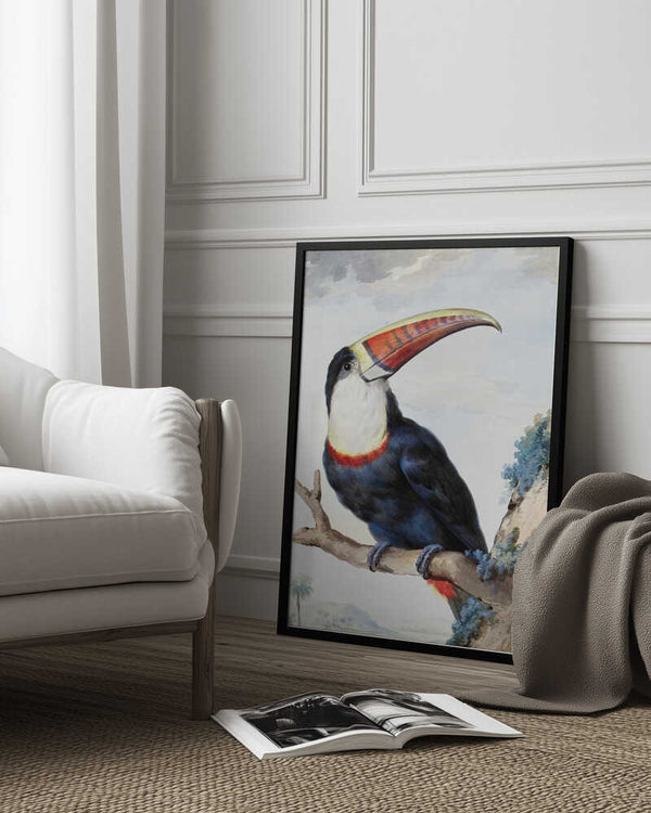 Tablou înramat „Red Billed Toucan” de Aert Schouman