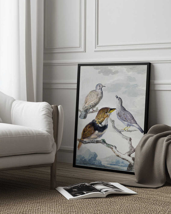 Tablou înramat „Three Birds, Two Inca Pigeons and a Collared Bearded Cuckoo” de Aert Schouman