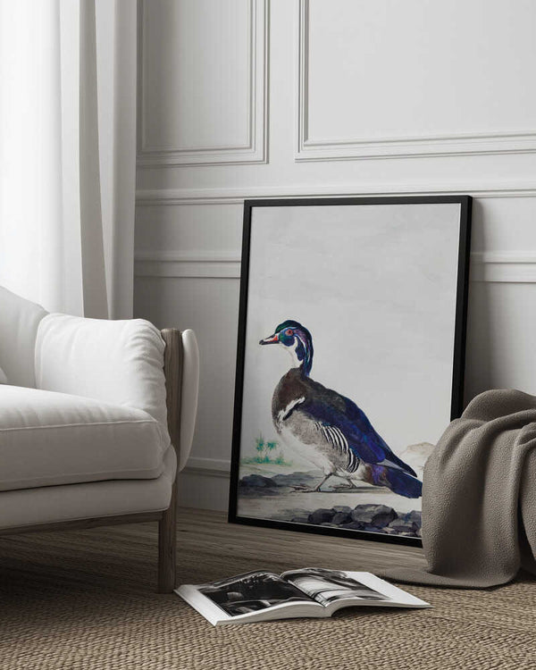 Tablou înramat „A Duck” de Aert Schouman