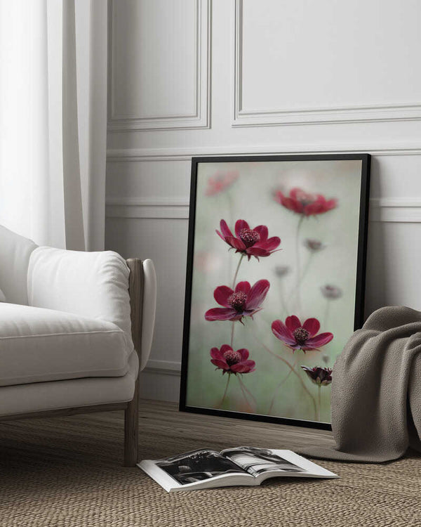 Tablou înramat „Cosmos sway” de Mandy Disher