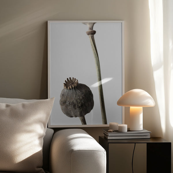 Tablou înramat „Dried_005” de Pictufy Studio III