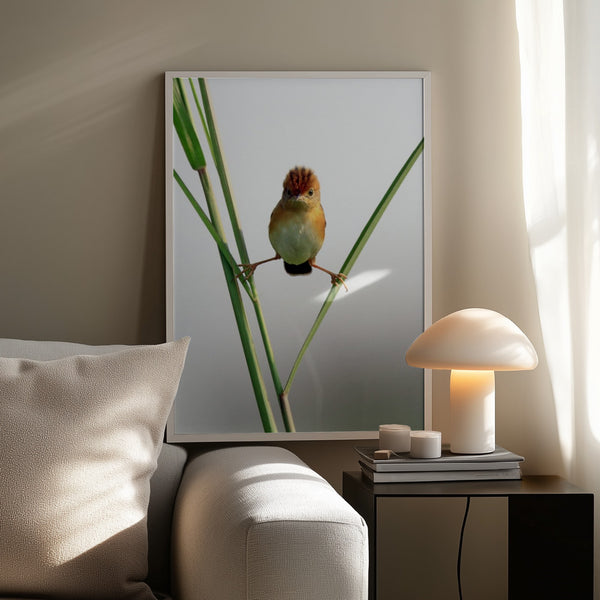 Tablou înramat „Kung Fu Master” de Lina Gunawan