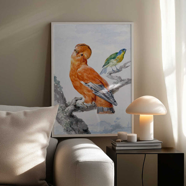 Tablou înramat „Two Exotic Birds” de Aert Schouman