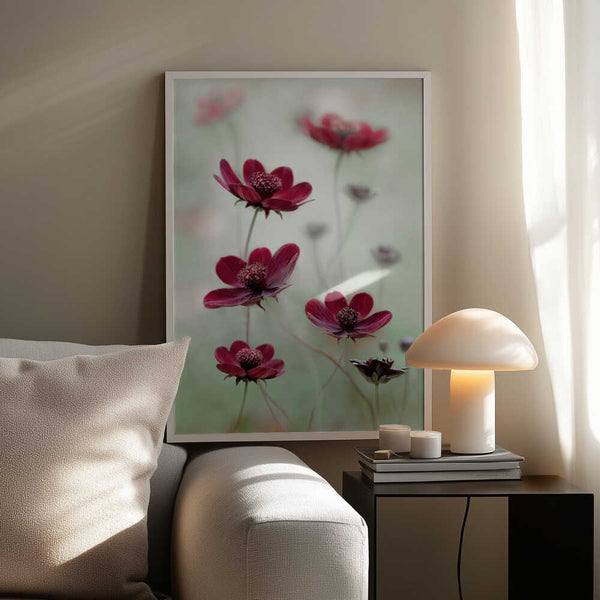 Tablou înramat „Cosmos sway” de Mandy Disher