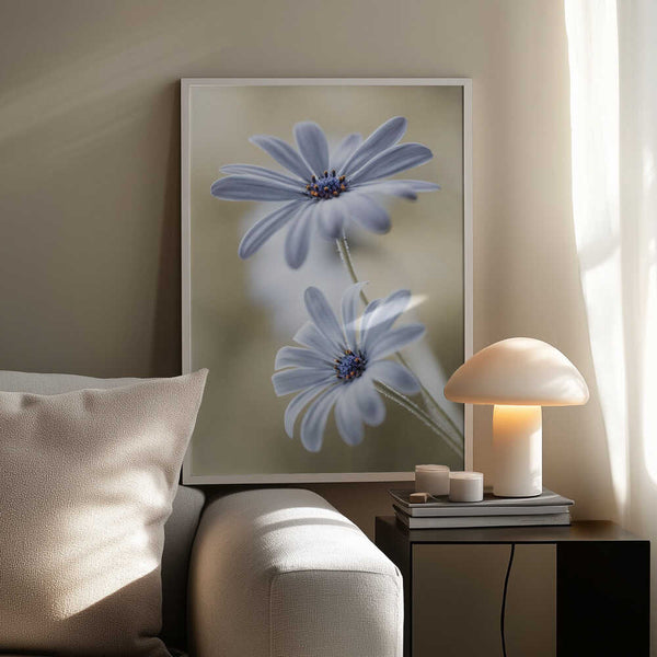 Tablou înramat „Cape daisies” de Mandy Disher