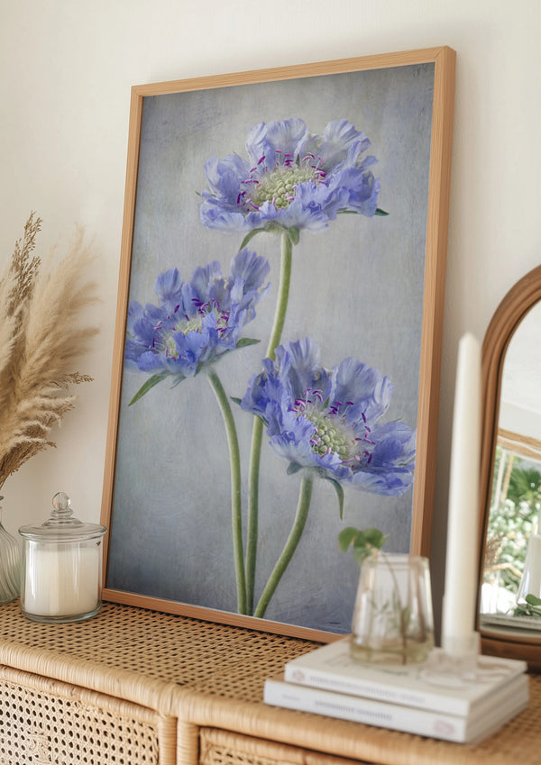 Tablou înramat „Scabiosa” de Mandy Disher