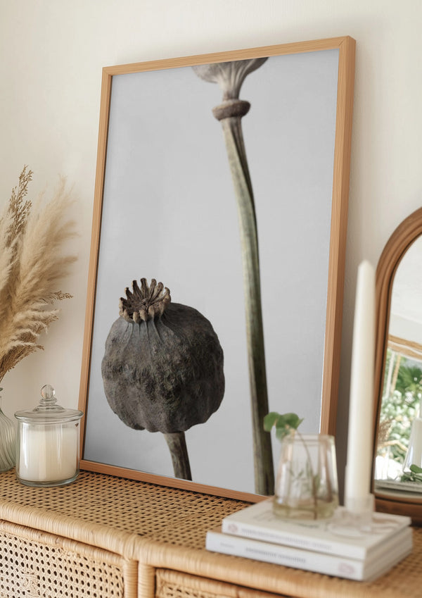 Tablou înramat „Dried_005” de Pictufy Studio III