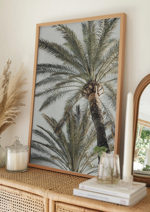 Tablou înramat „Palm_005” de Pictufy Studio III