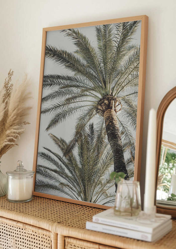 Tablou înramat „Palm_005” de Pictufy Studio III