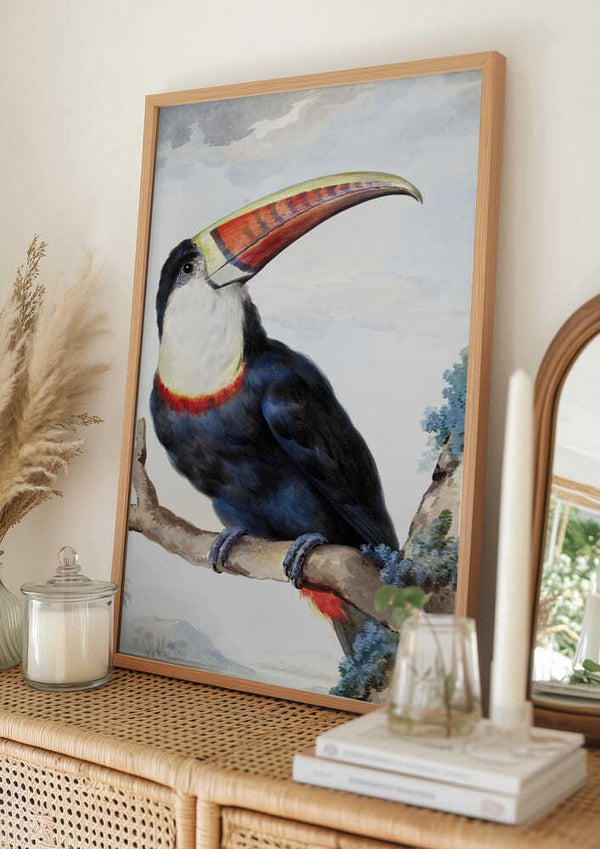 Tablou înramat „Red Billed Toucan” de Aert Schouman