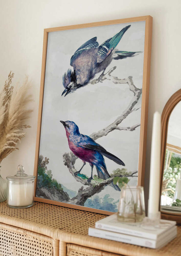 Tablou înramat „Two Birds a Blue Jay and a Purple Breasted Cotinga” de Aert Schouman