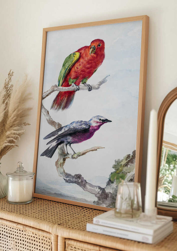 Tablou înramat „Two Birds, Including a Red Green Parrot” de Aert Schouman