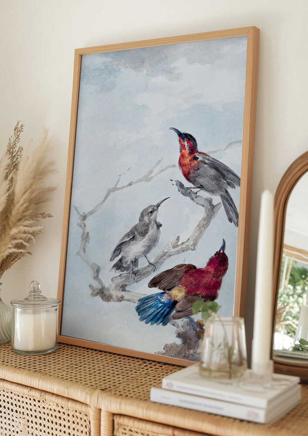Tablou înramat „Three Crimson Sunbirds” de Aert Schouman