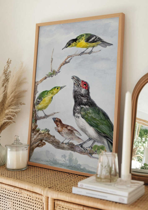 Tablou înramat „Four Different Birds On a Branch” de Aert Schouman