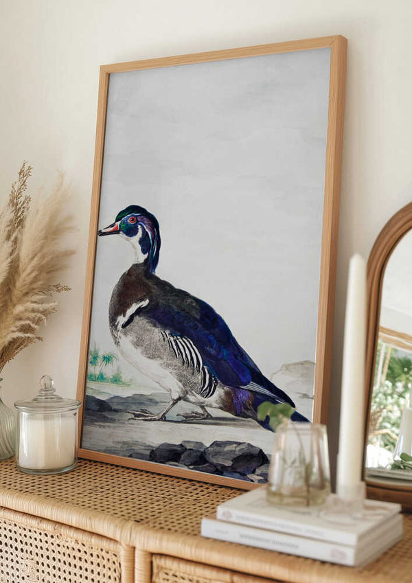 Tablou înramat „A Duck” de Aert Schouman