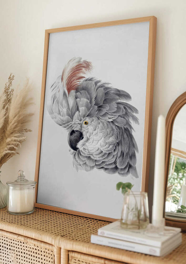 Tablou înramat „Cockatoo Head” de Aert Schouman