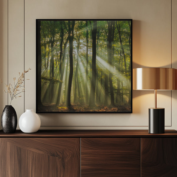 Tablou înramat „Sunny start to the day ........” de Piet Haaksma