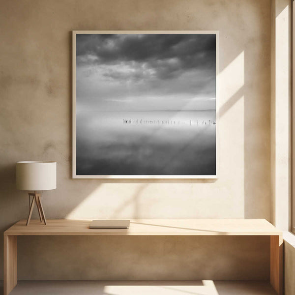 Tablou înramat „Sixty shades of gray” de George Digalakis