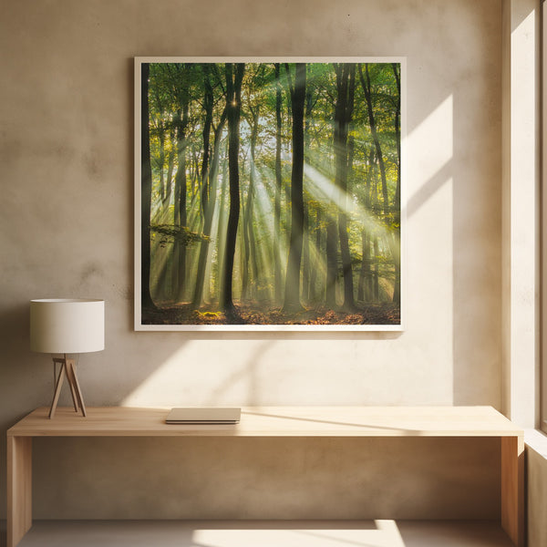 Tablou înramat „Sunny start to the day ........” de Piet Haaksma