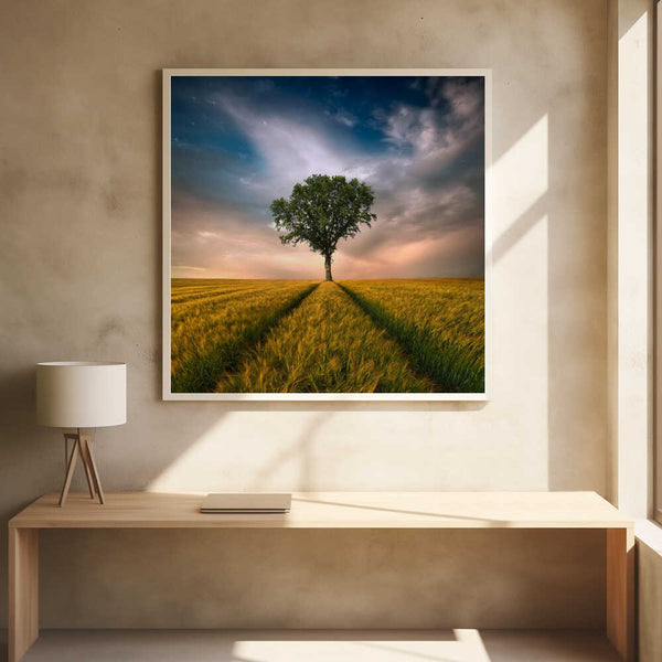 Tablou înramat „One” de Piotr Krol (Bax)