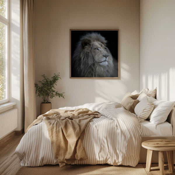 Tablou înramat „Proud Lion” de Louise Wolbers