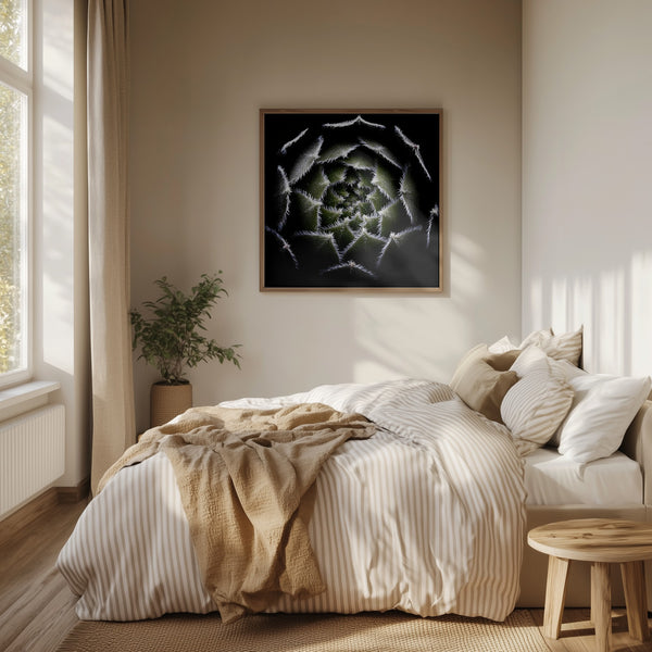 Tablou înramat „Sempervivum Rosette” de Victor Mozqueda