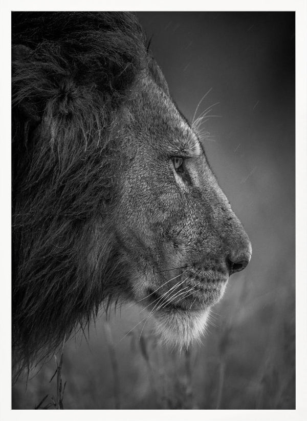 Tablou înramat „Thinking Under The Rain” de Faisal ALnomas