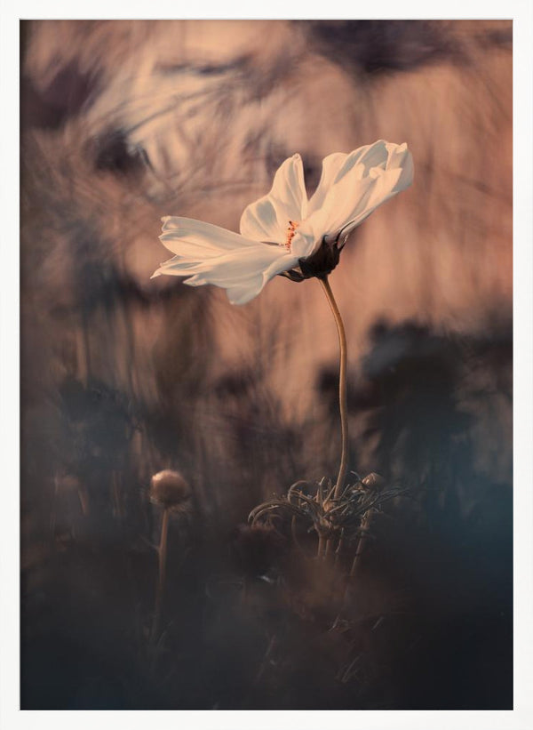 Tablou înramat „The Bride” de Fabien BRAVIN