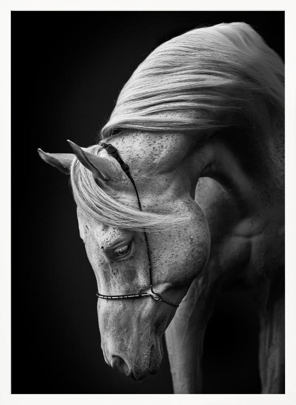 Tablou înramat „white stallion” de Ulrike Leinemann