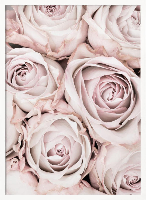 Tablou înramat „Pink Roses No 01” de Pictufy Studio III