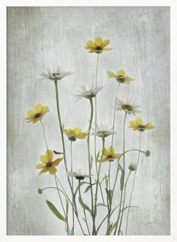 Tablou înramat „Summer Flowers” de Binbin L.