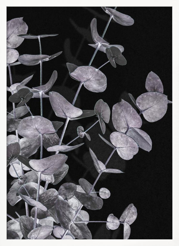 Tablou înramat „Eucalyptus_Negative_003” de Pictufy Studio III
