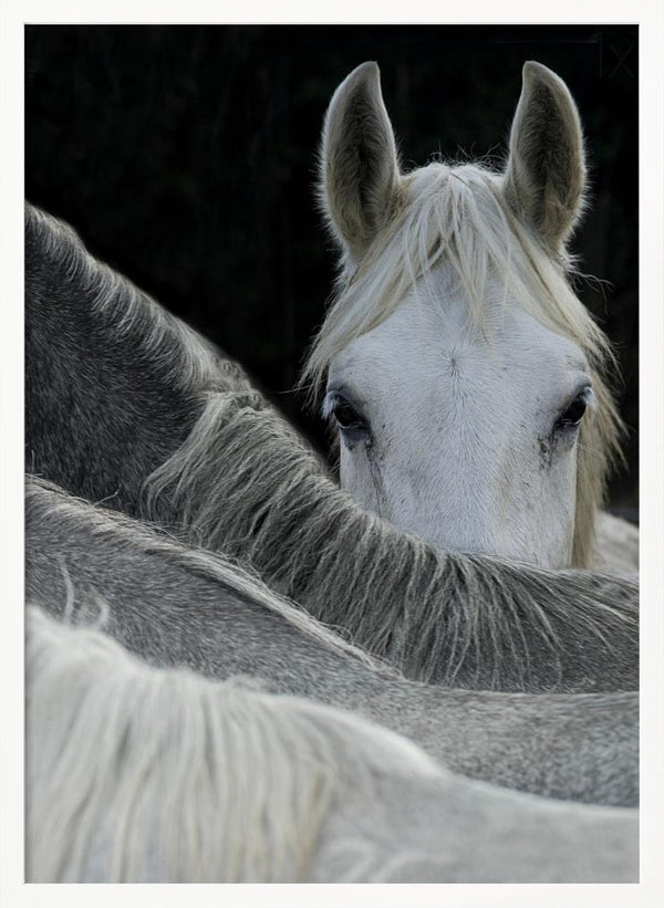 Tablou înramat „Look” de Milan Malovrh