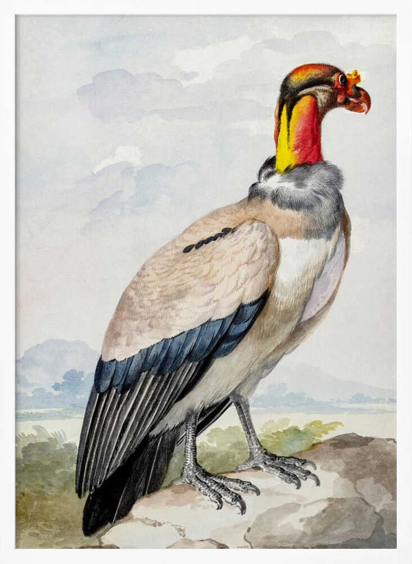 Tablou înramat „Stone Curlew” de Aert Schouman