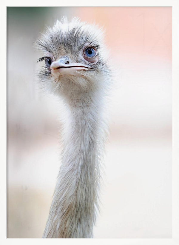 Tablou înramat „natural beauty” de Fulvio Pellegrini