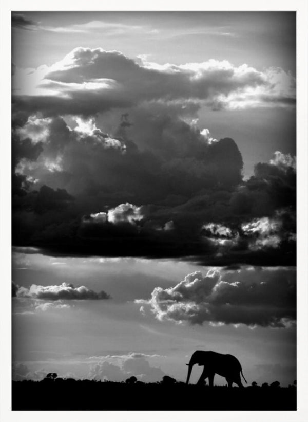 Tablou înramat „He walks under an African Sky” de WildPhotoArt