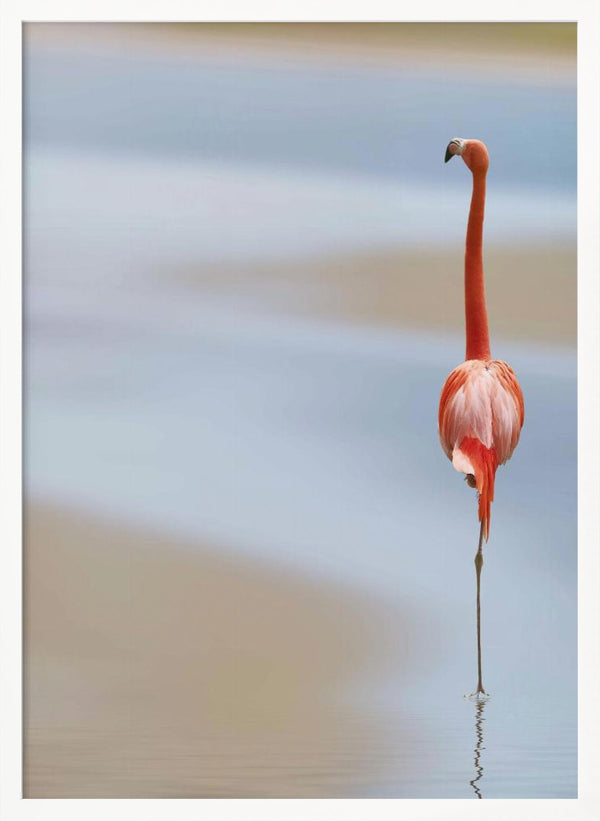 Tablou înramat „I” de Anna Cseresnjes