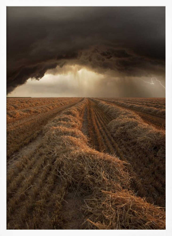 Tablou înramat „Untitled” de Nicolas Schumacher