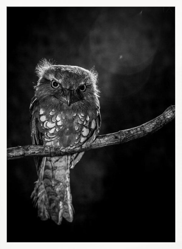 Tablou înramat „Alone in the night” de wilianto